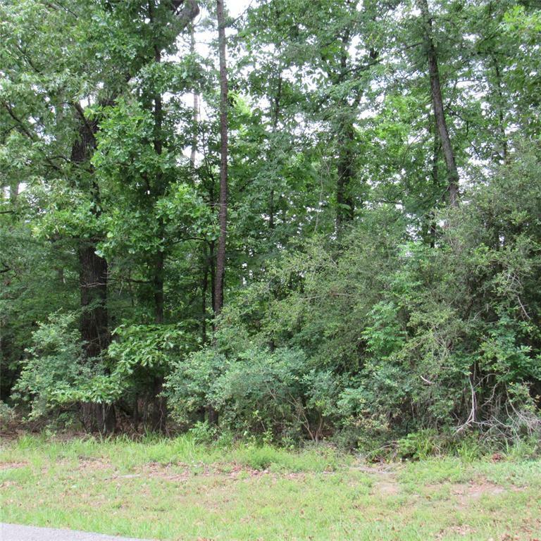Property Photo: Tbd Rolling Ridge TX 75765