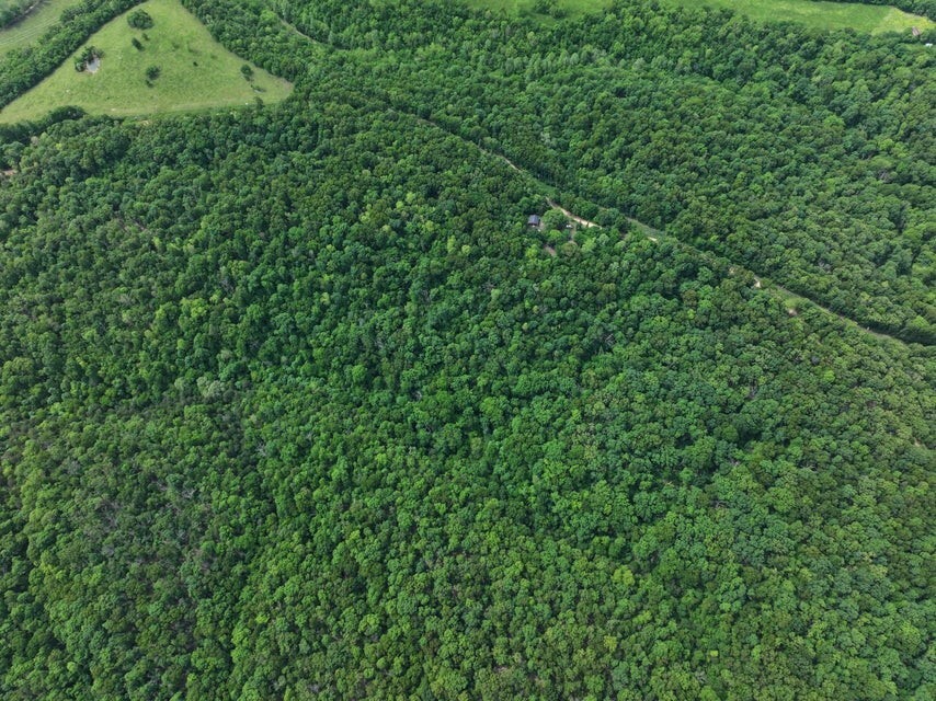 Property Photo: 1619 Stone Road MO 64854