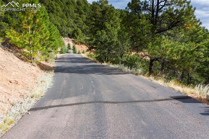 Property Photo:  15825 Henry Ride Heights  CO 80926 