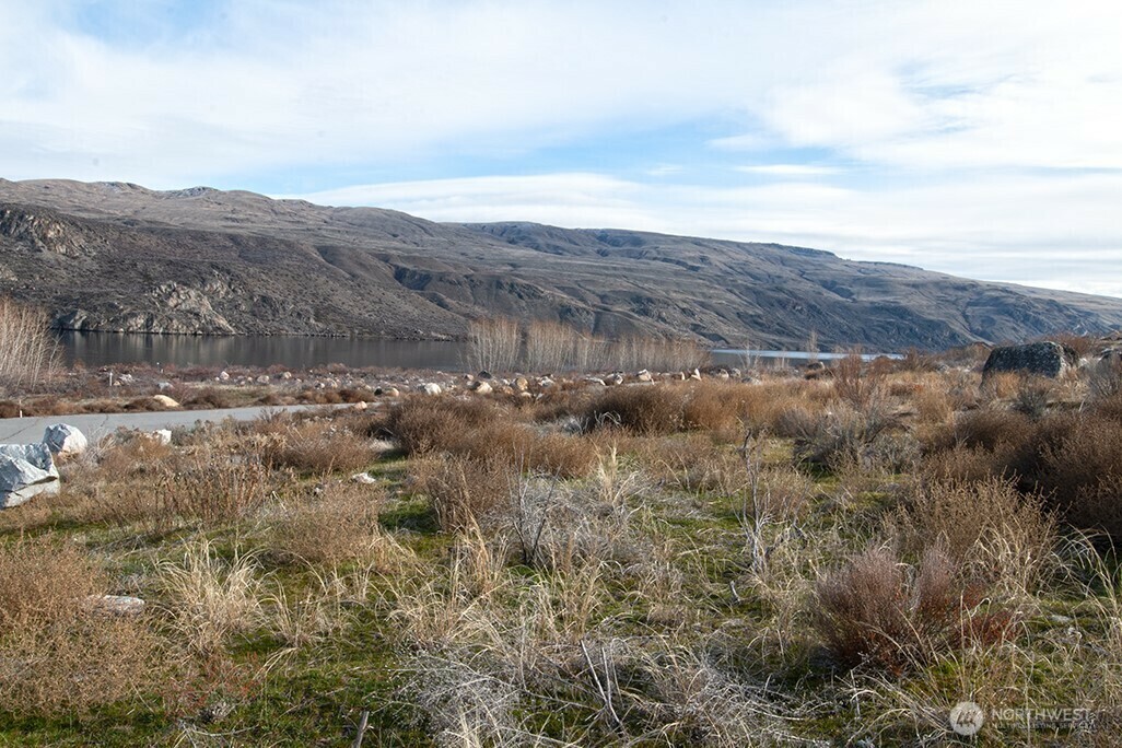 Property Photo: 0 Lot 4 Boulder Gulch WA 98846