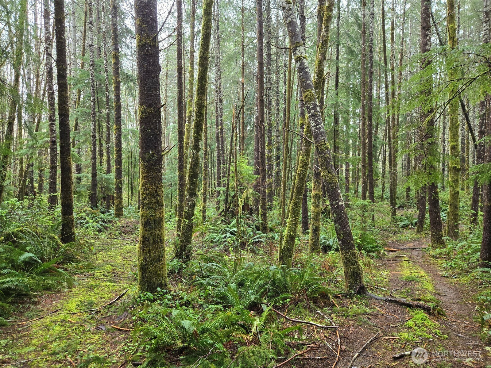 Property Photo: 0 End Of Greenwood Road WA 98550