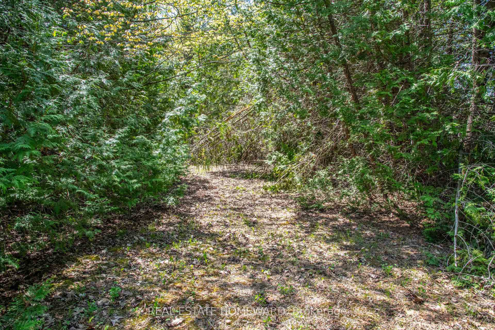 Property Photo:  P/L35 Con 5 Bull Road  ON K0K 1C0 
