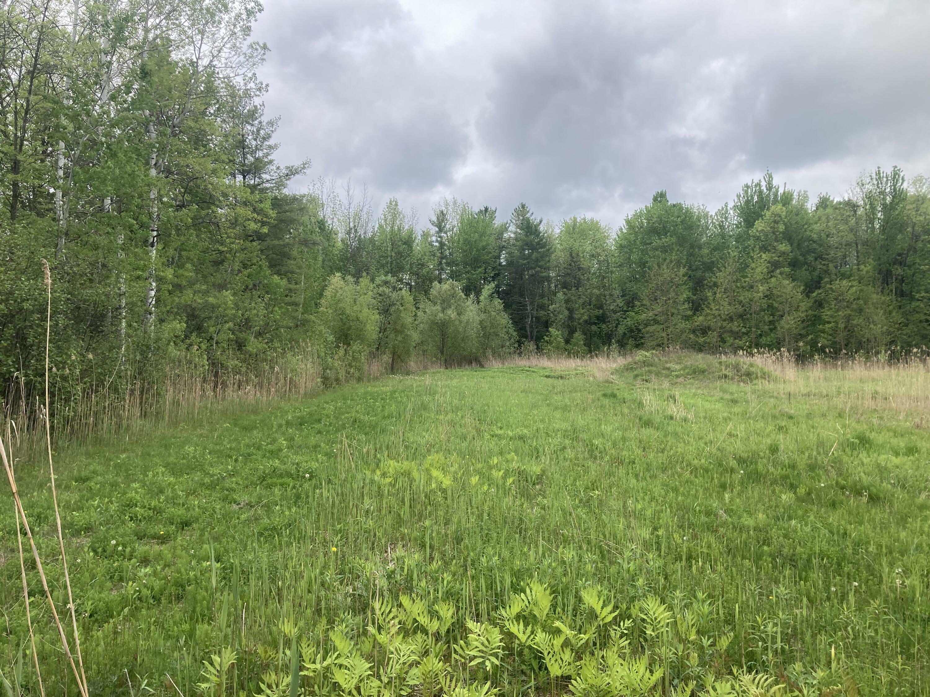 Property Photo:  00 Wallace Hill Road  NY 12901 