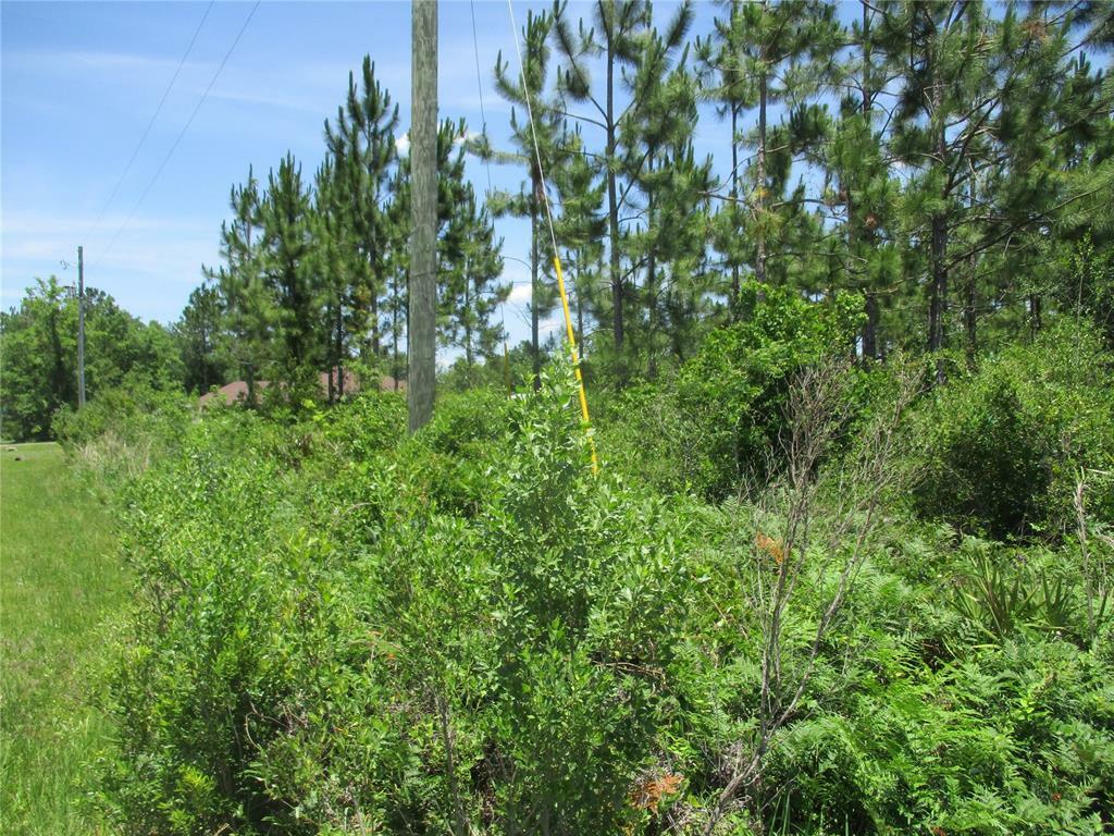 Property Photo: 10th Avenue FL 32046