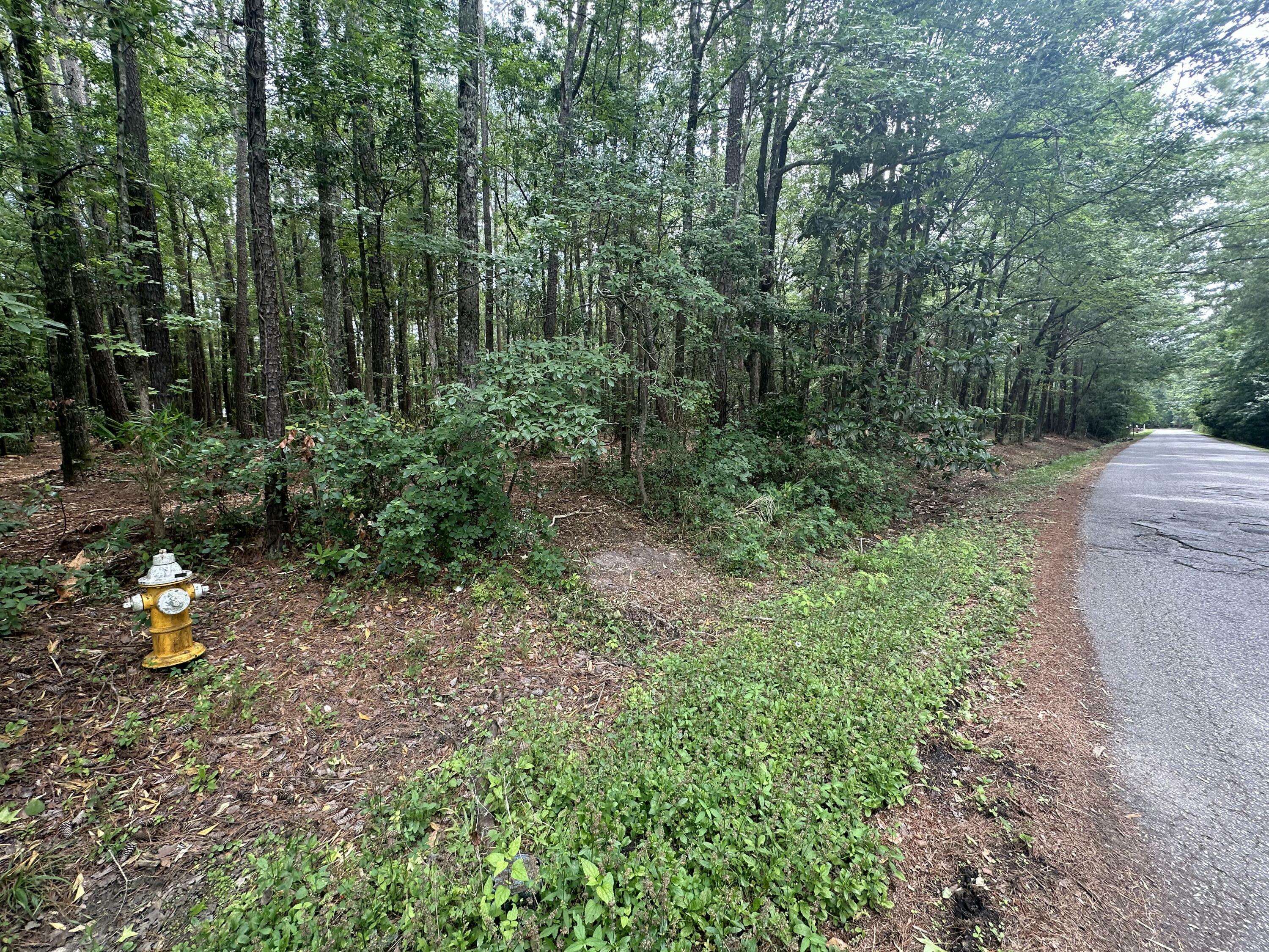 Property Photo: 103 Caveson Drive SC 29483