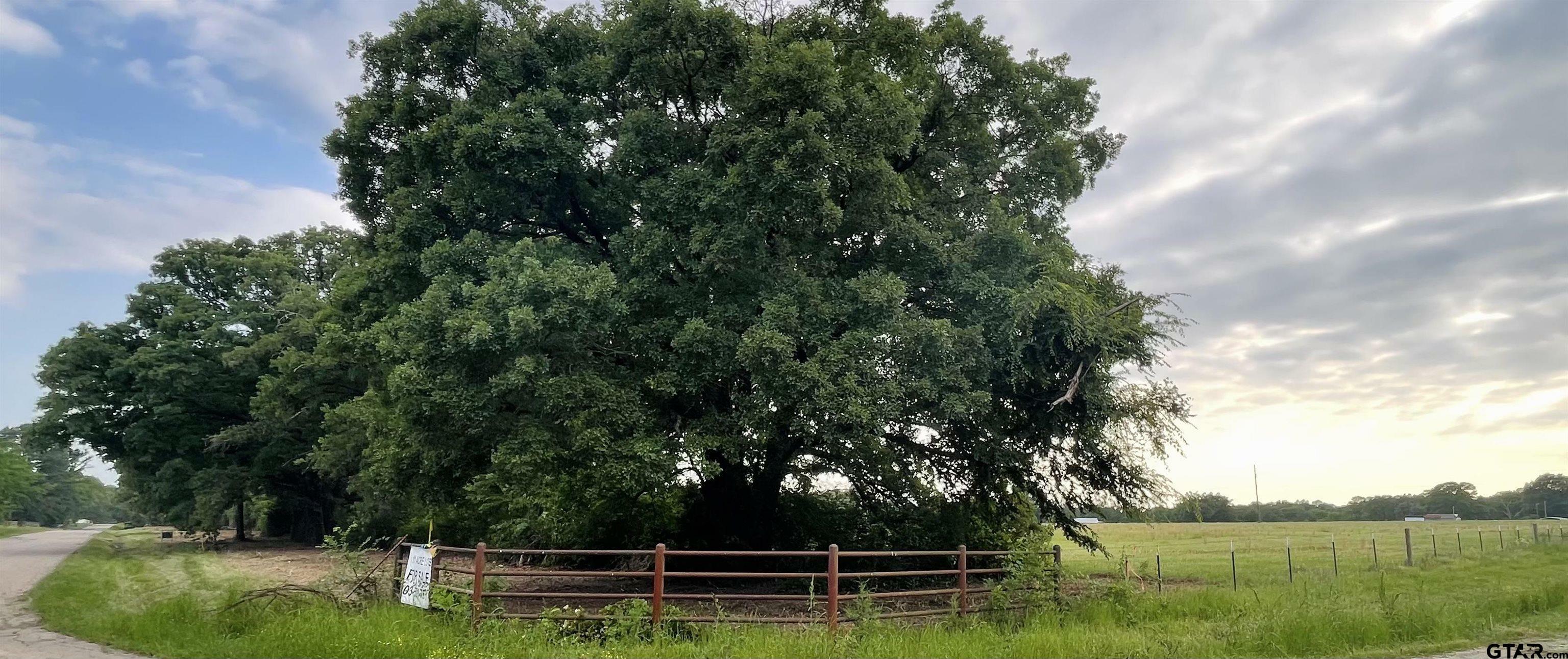 Property Photo: Lot 1 , Cr 1560 TX 75410