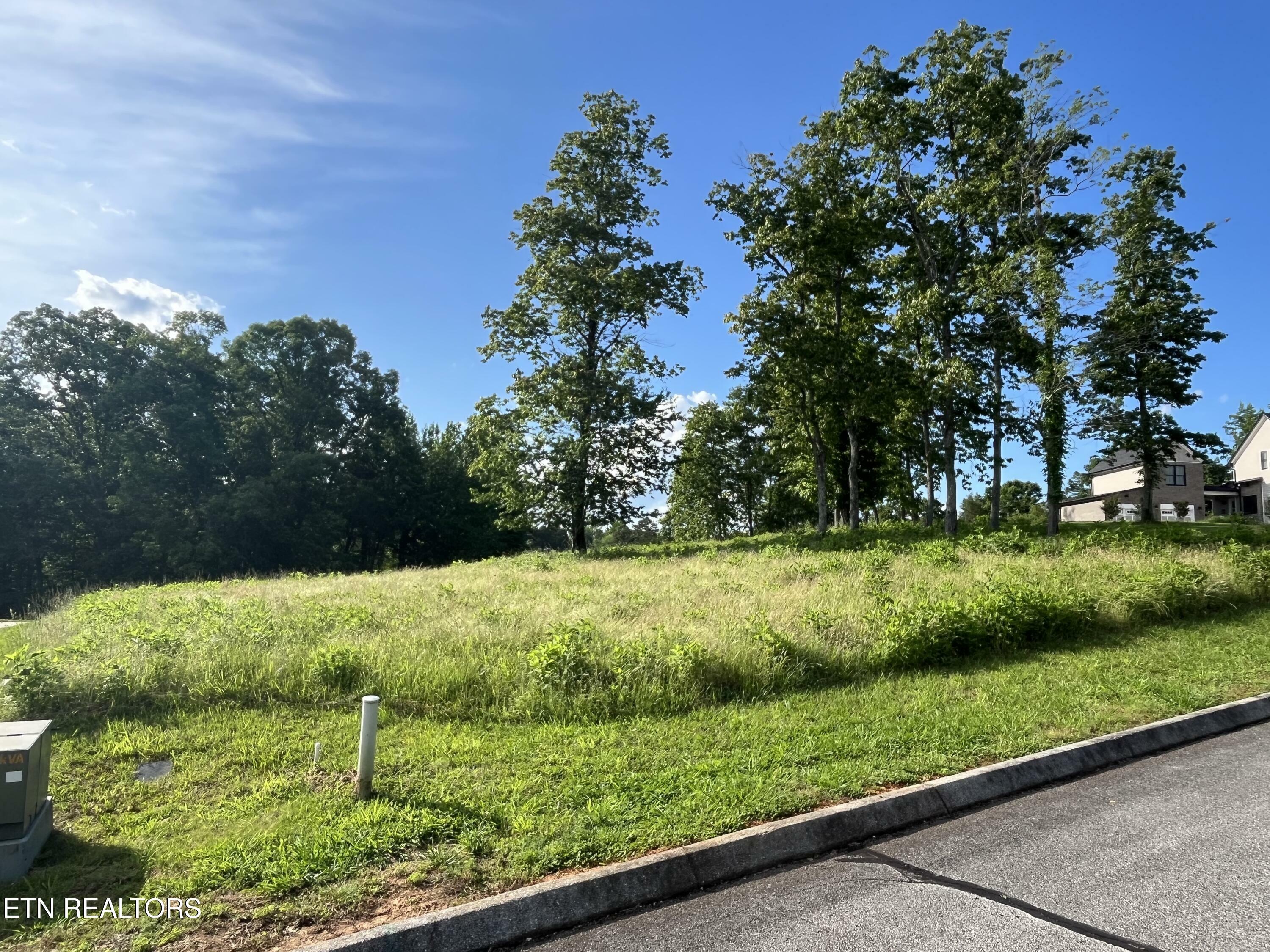 Property Photo: Lot# 23 Serenity Drive TN 37748