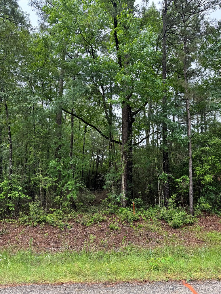 Property Photo: 1945 Fm 353 TX 75972