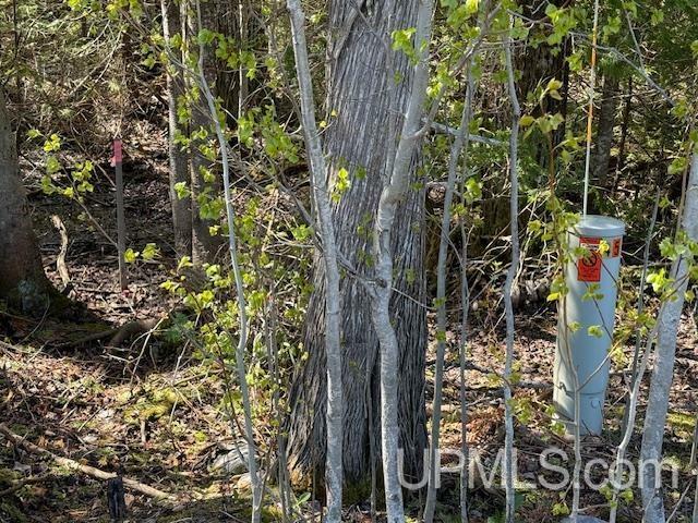 Tbd 38 Harbor Coast Lane  Copper Harbor MI 49918 photo