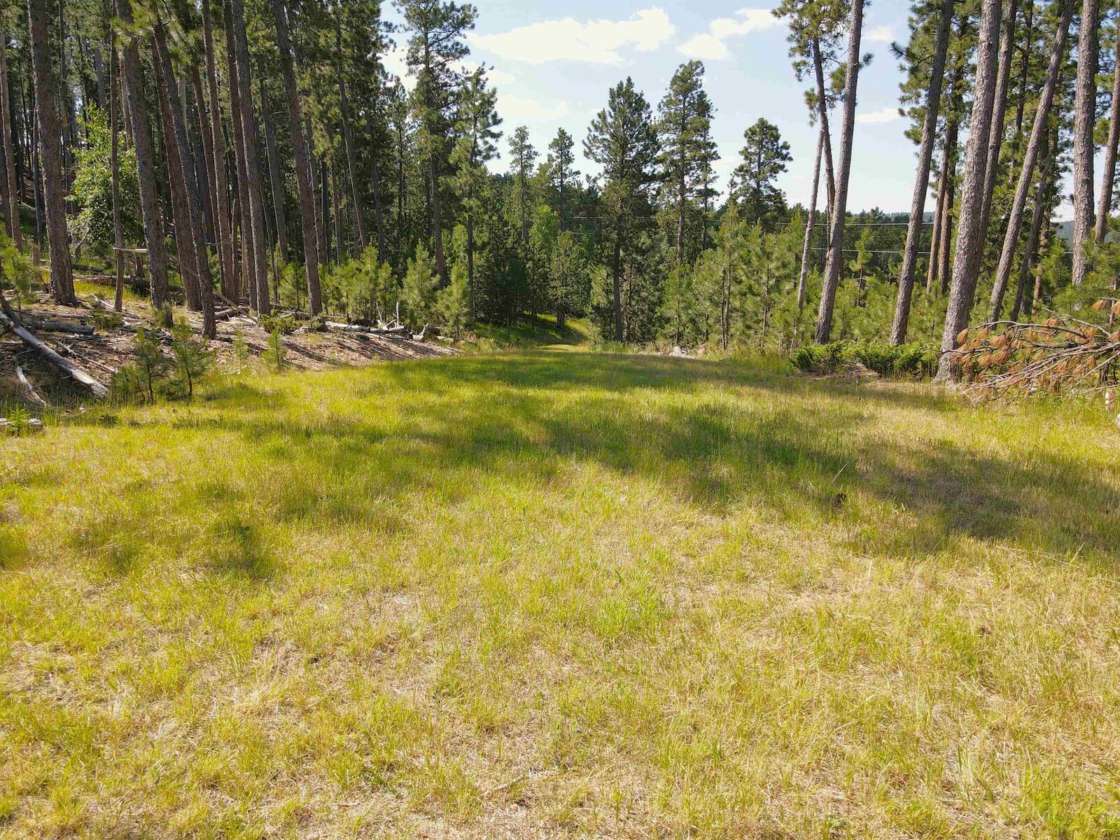 Property Photo:  Tbd Wasp Road  SD 57754 