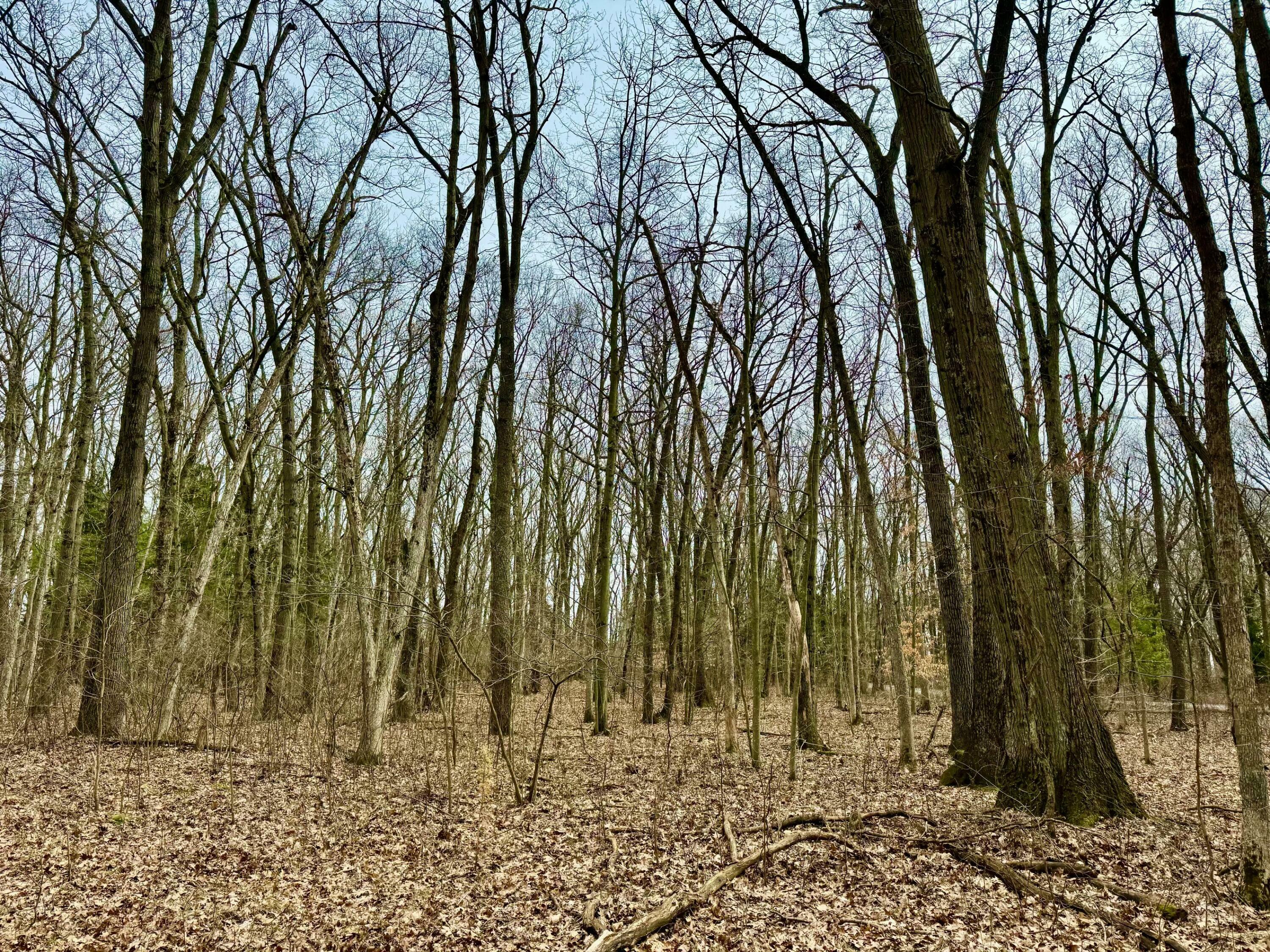 Property Photo: 013 Vl 131st Street MI 49453