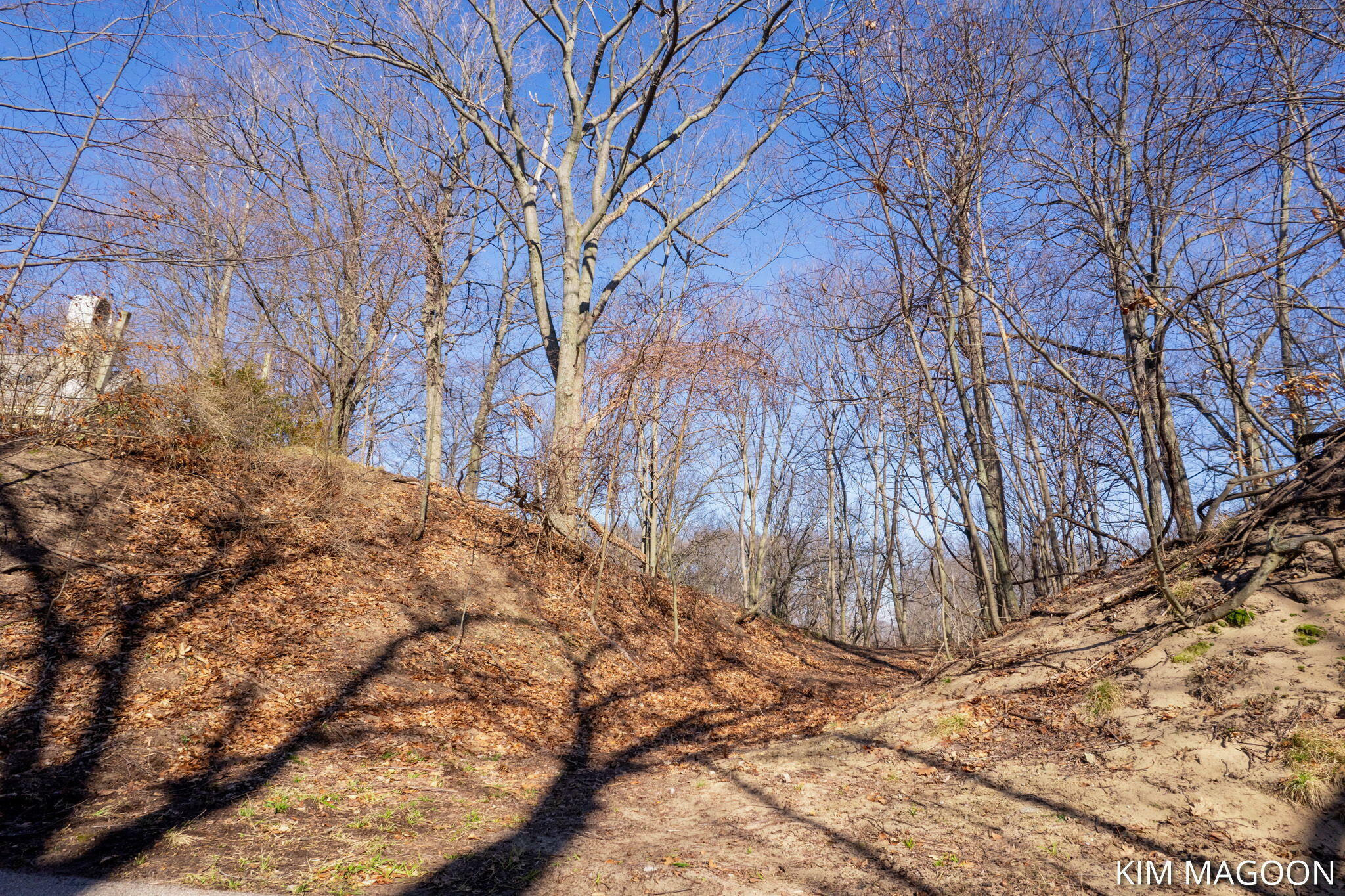 Property Photo: Lot 45 Valleywood Court MI 49423