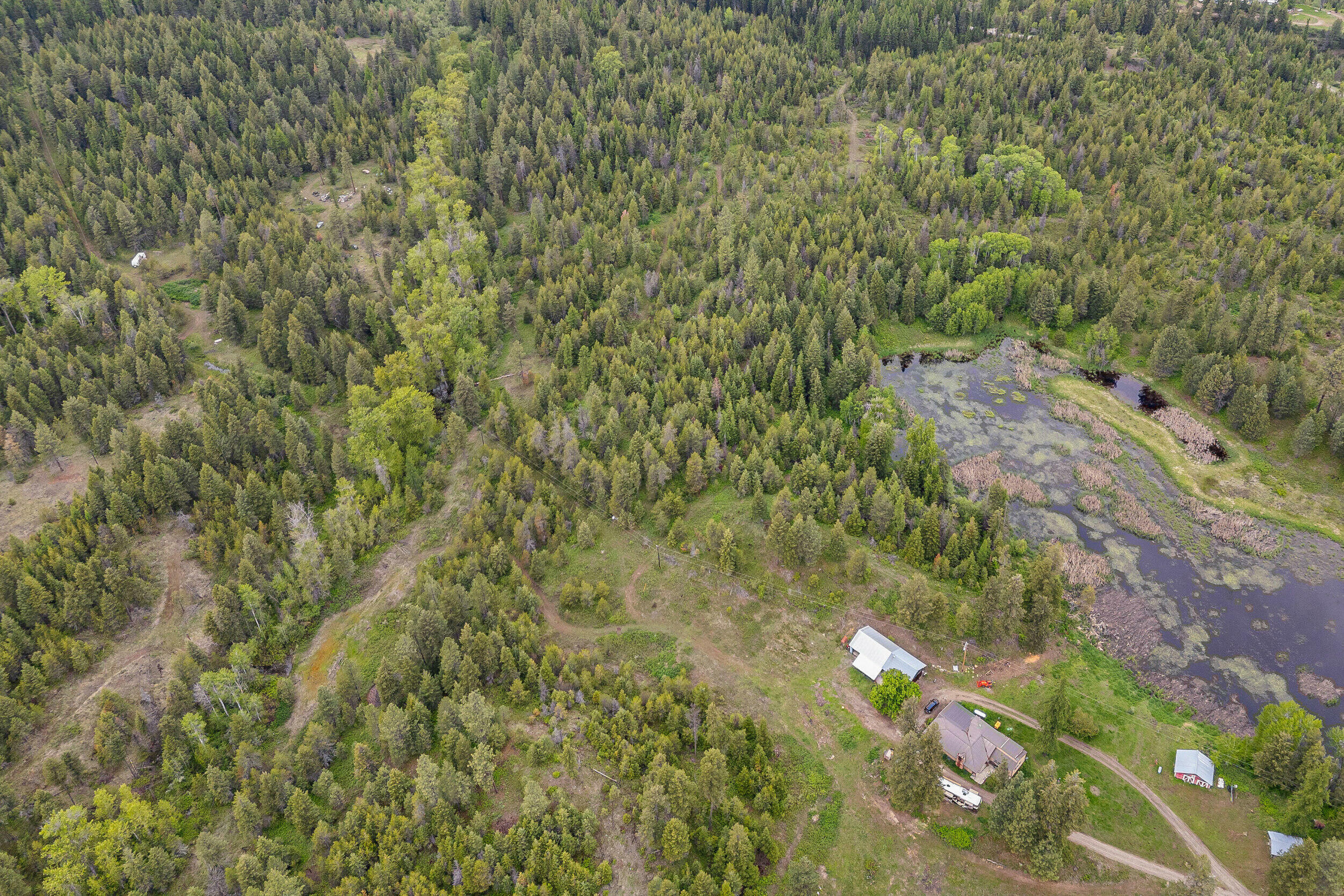 Property Photo: Lot 4 Hesseltine Rd WA 99181