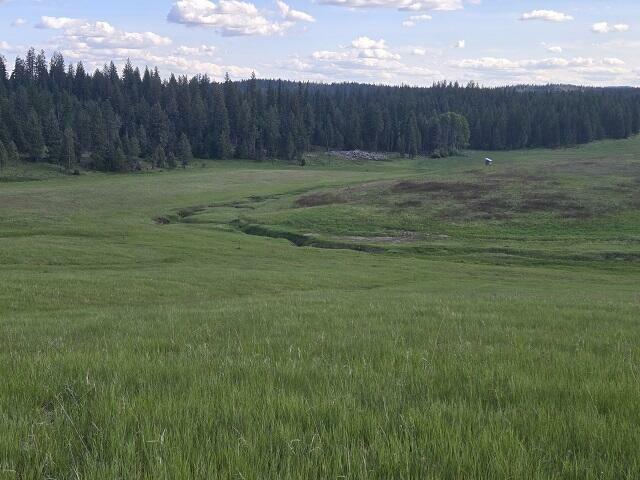 Property Photo: 5266 Wagner Rd WA 99173