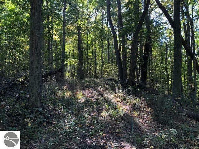Property Photo: Parcel B Mariah Lane MI 49670