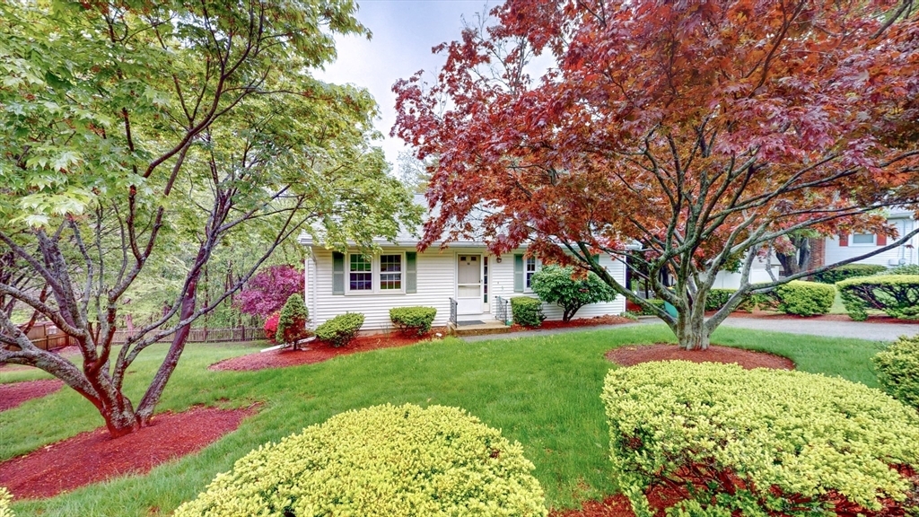 10 Briarwood Rd  Woburn MA 01801 photo