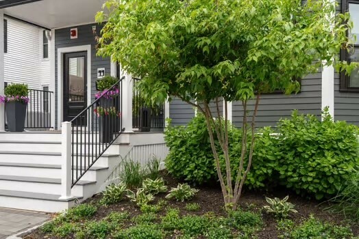Property Photo: 24 Sagamore Street 3 MA 02125