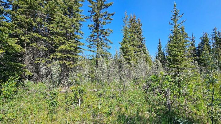Property Photo: 34364 Range Road 42 4 AB T0M 1X0