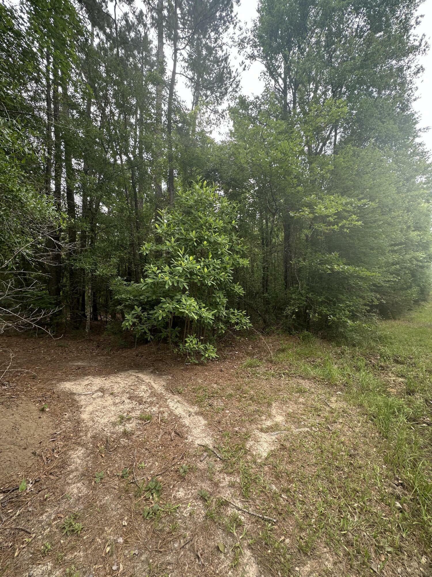 Property Photo: La-464 LA 71446