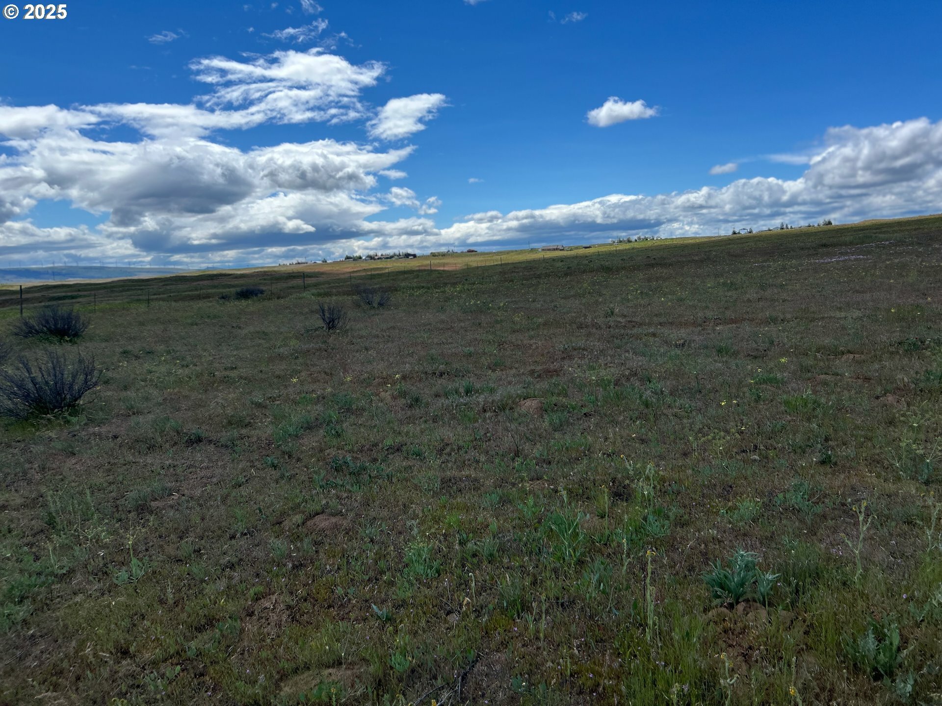 Property Photo: Coco Ln WA 98620