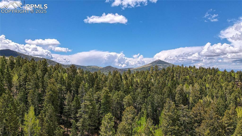 Property Photo: 1058 Bennett Drive CO 80813