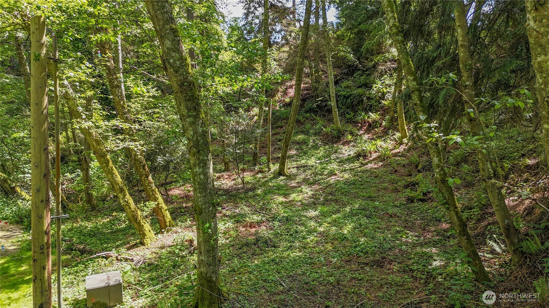 Property Photo: 0 Xxx George Drive WA 98236