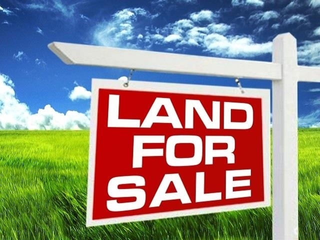 Property Photo:  8295 Hwy 105  TX 77713 