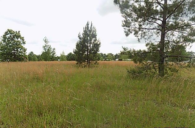 Property Photo: 0 Hanging Moss Trail AL 36320
