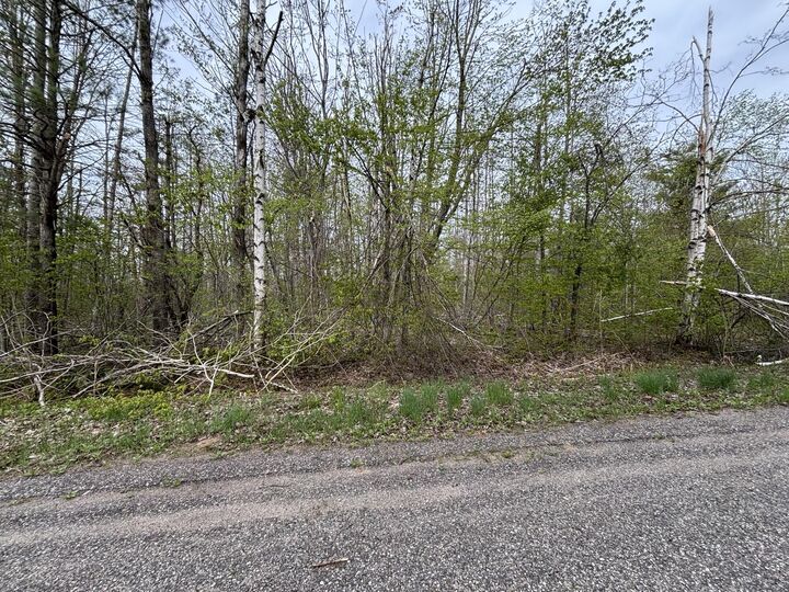 Vl Lot 376 Forestview Circle  Gaylord MI 49735 photo