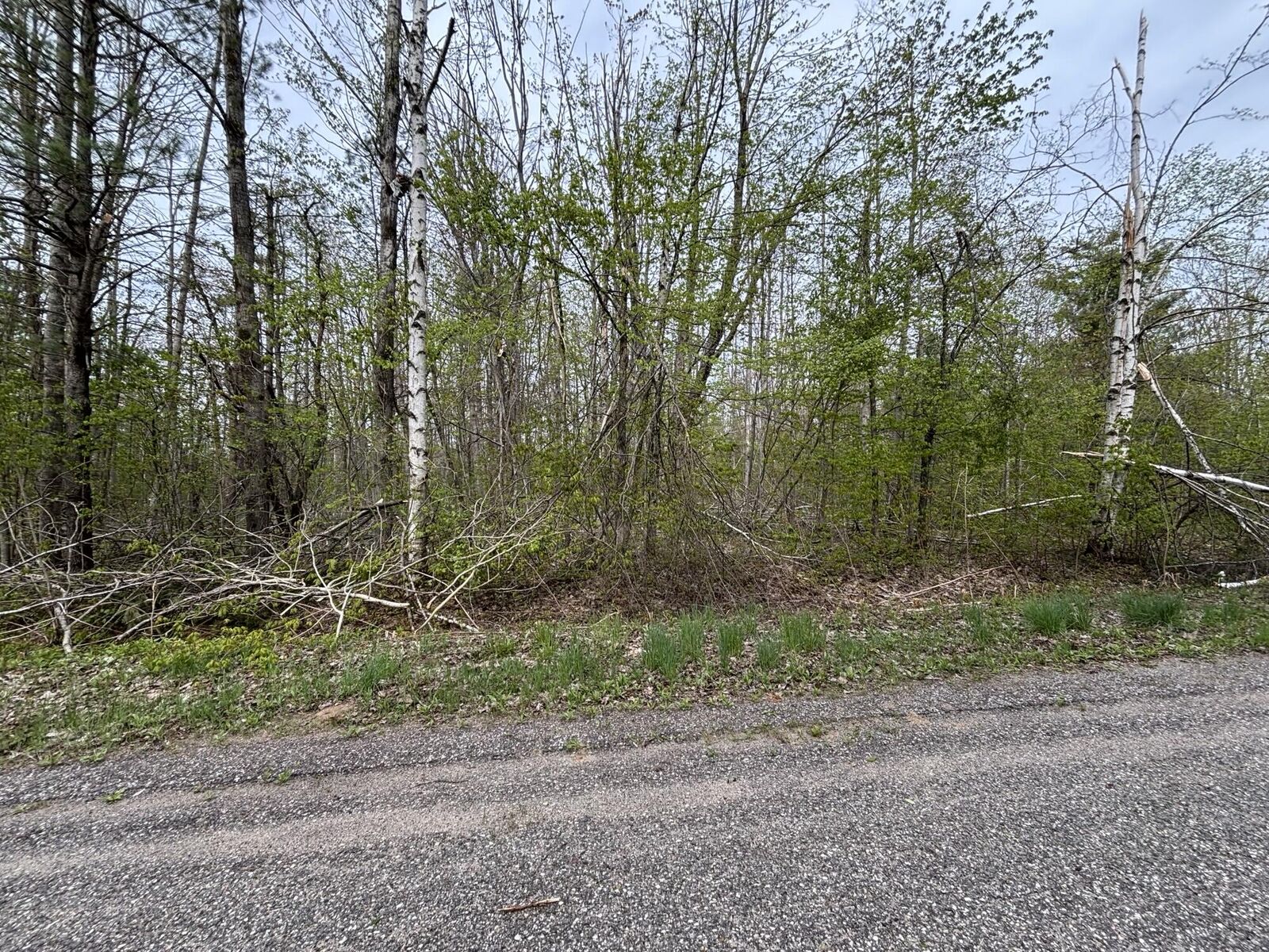 Property Photo: Vl Lot 376 Forestview Circle MI 49735