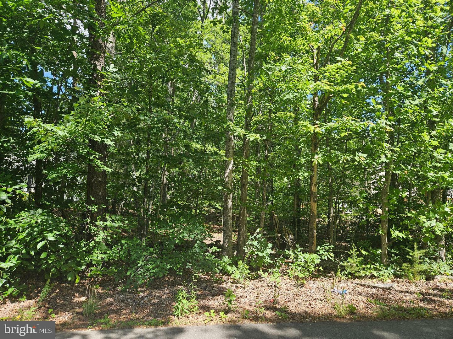 Property Photo: 12817 Plantation Drive VA 22551
