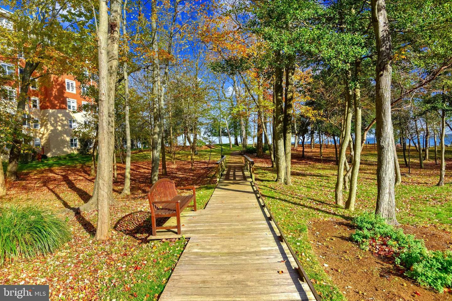 Property Photo:  7101 Bay Front Drive 400  MD 21403 