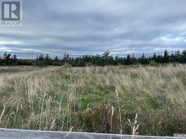 Photo de la propriété:  Lot 3 McIsaac'S Lane  NL A0N 1T0 