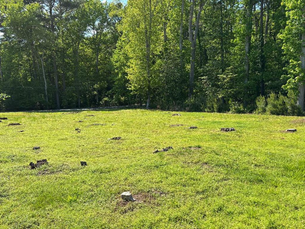 Property Photo: Lot 150 Captains Corridor VA 23356