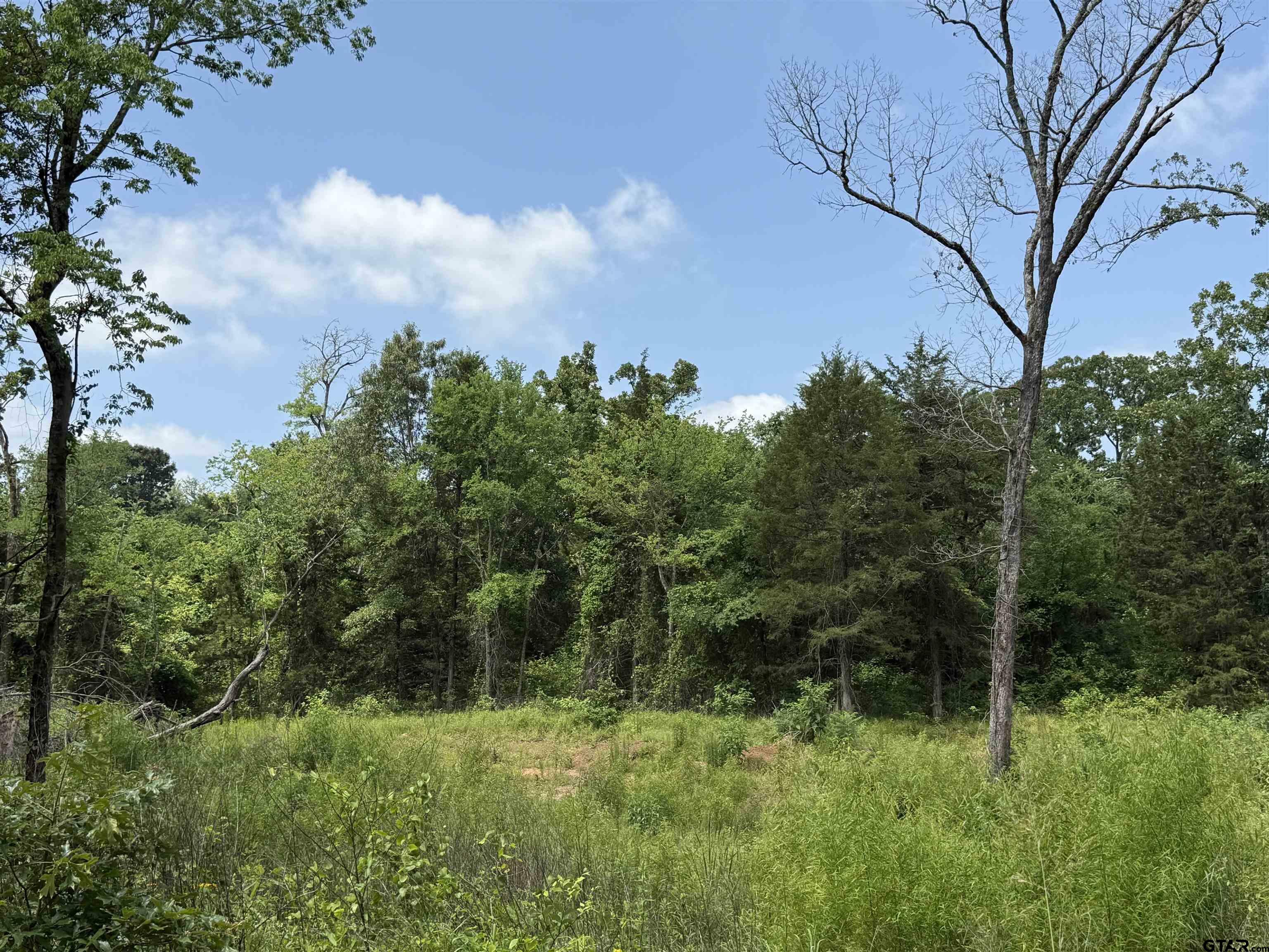 Property Photo: 000 Vz Cr 4608 TX 75754