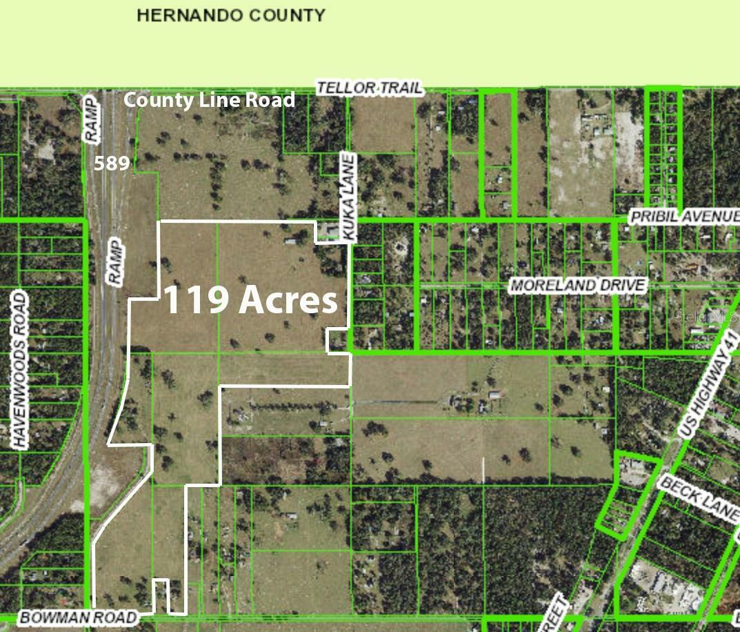 20139 Bowman Road  Spring Hill FL 34610 photo