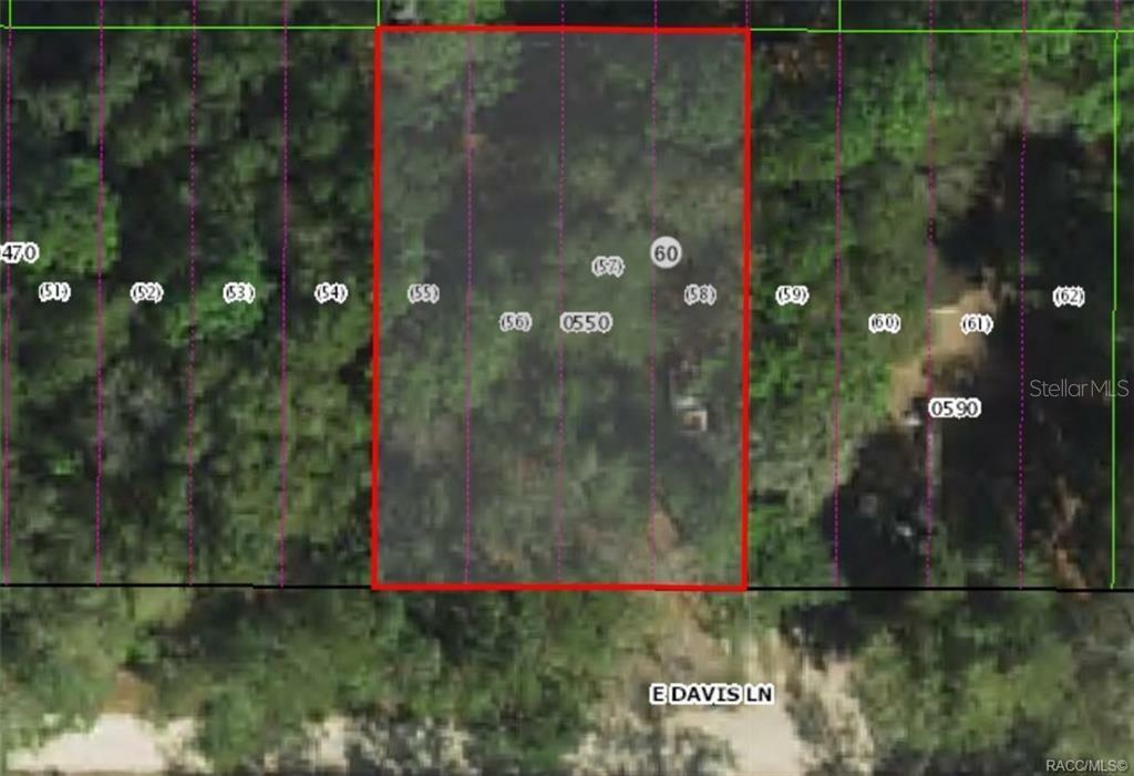 Property Photo: 3157 E Davis Lane FL 34453