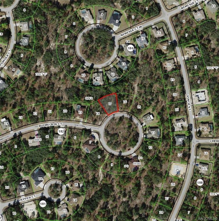 Property Photo: 17 Rudbeckia Court FL 34446