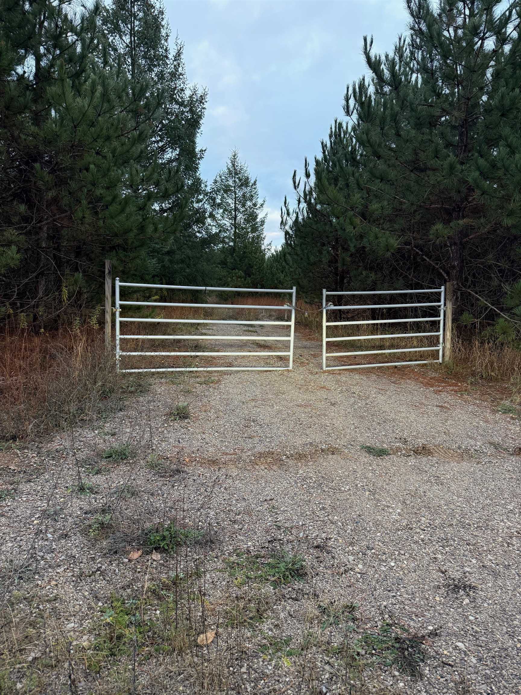Property Photo:  11277 Summit City Road  MI 49649 