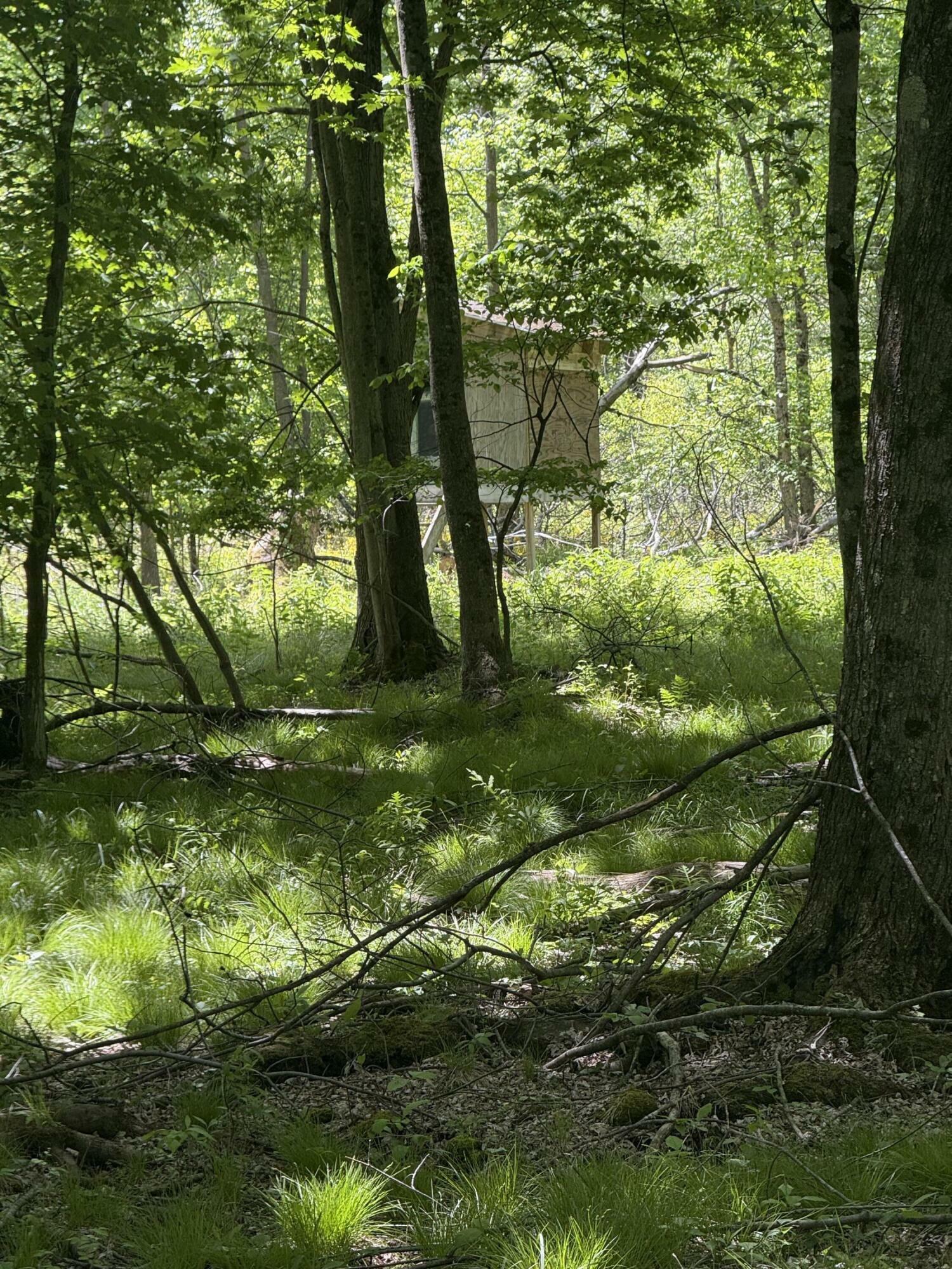 Property Photo: 6095 E M 20 MI 49421