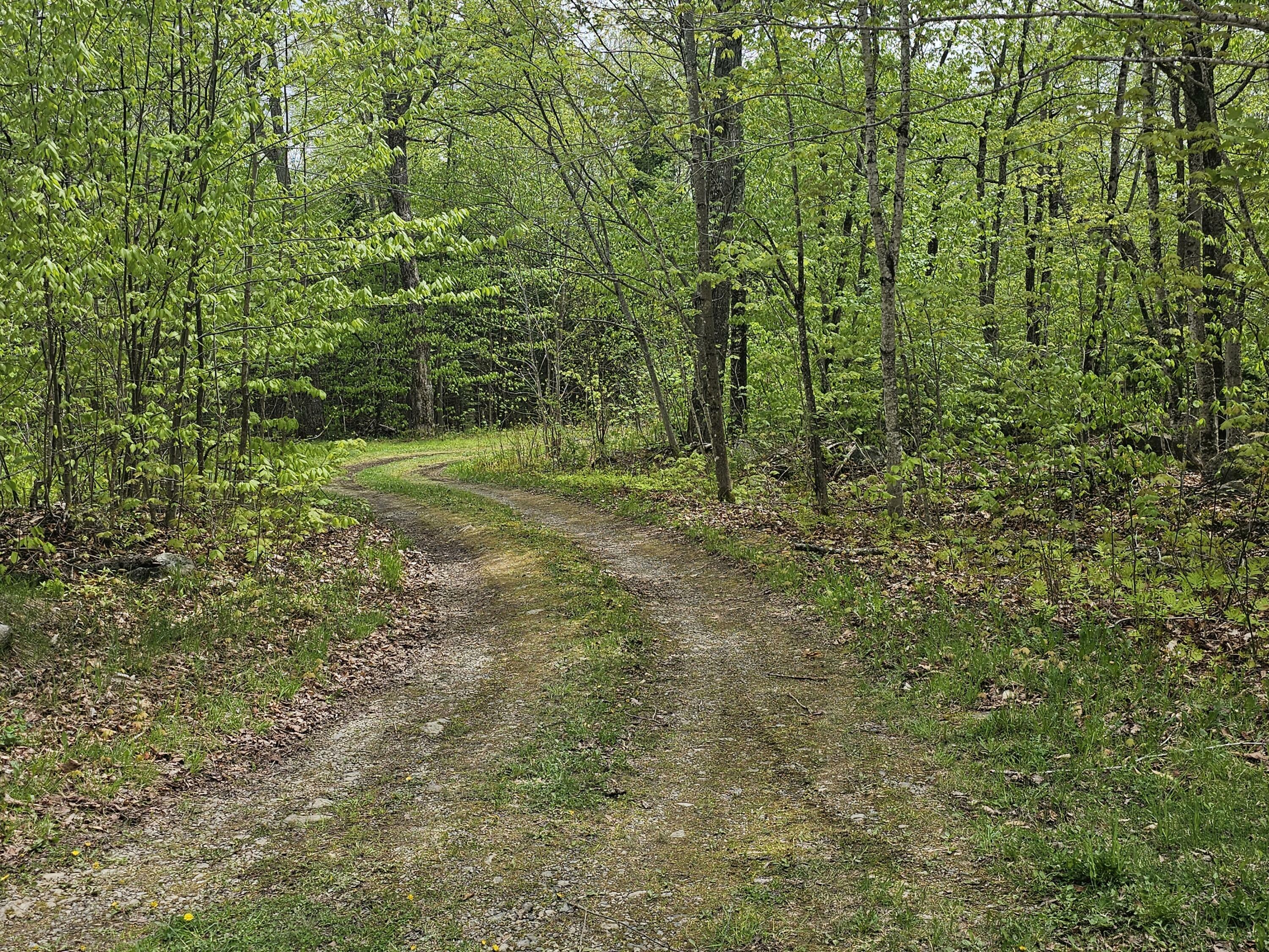 Property Photo: 16 Ravens Haven West Shore Road ME 04462