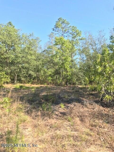 Property Photo: 0 Twin Lakes Boulevard FL 32148