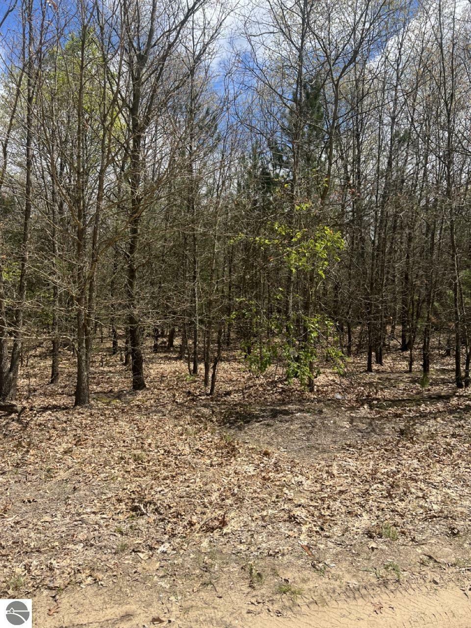 Property Photo: 00 Horton 14 Mile Road MI 49668