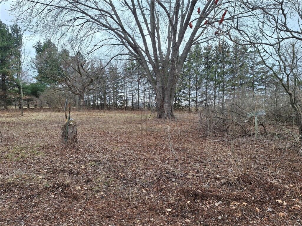 Property Photo: 0 164th Street WI 54729