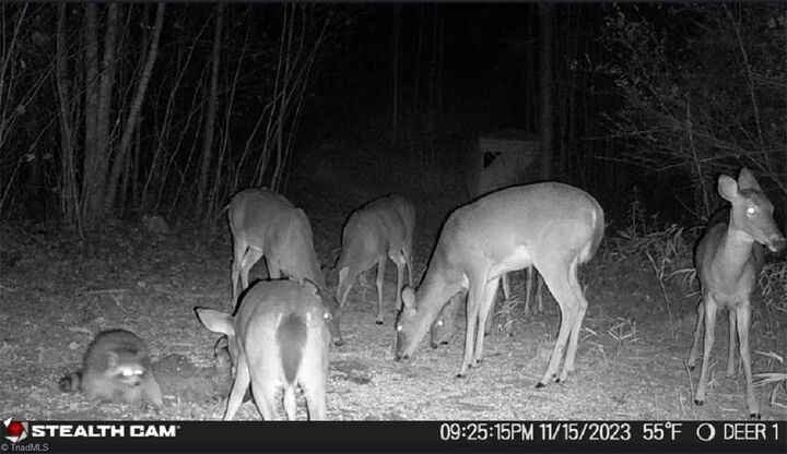 Property Photo: 00 Caudle Road NC 27043