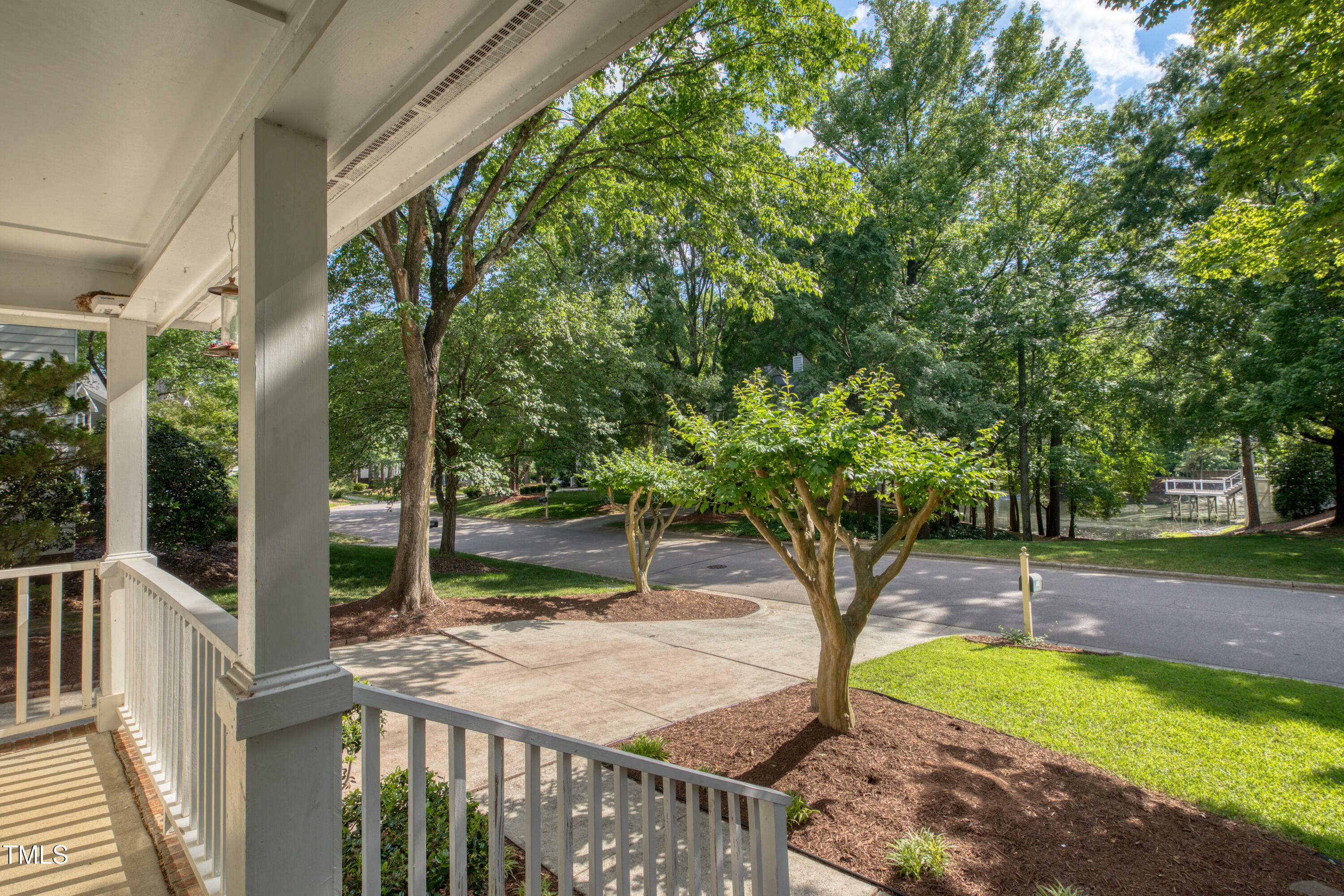Property Photo: 203 Halls Mill Drive NC 27519