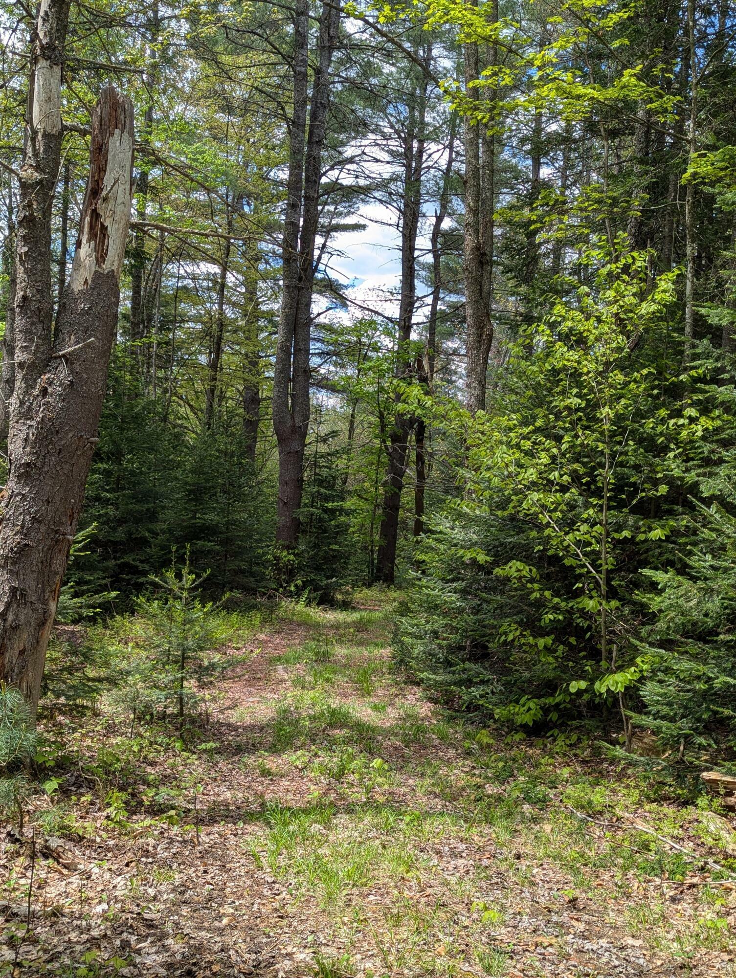 Property Photo: Lot #5 County Route 60 NY 12976