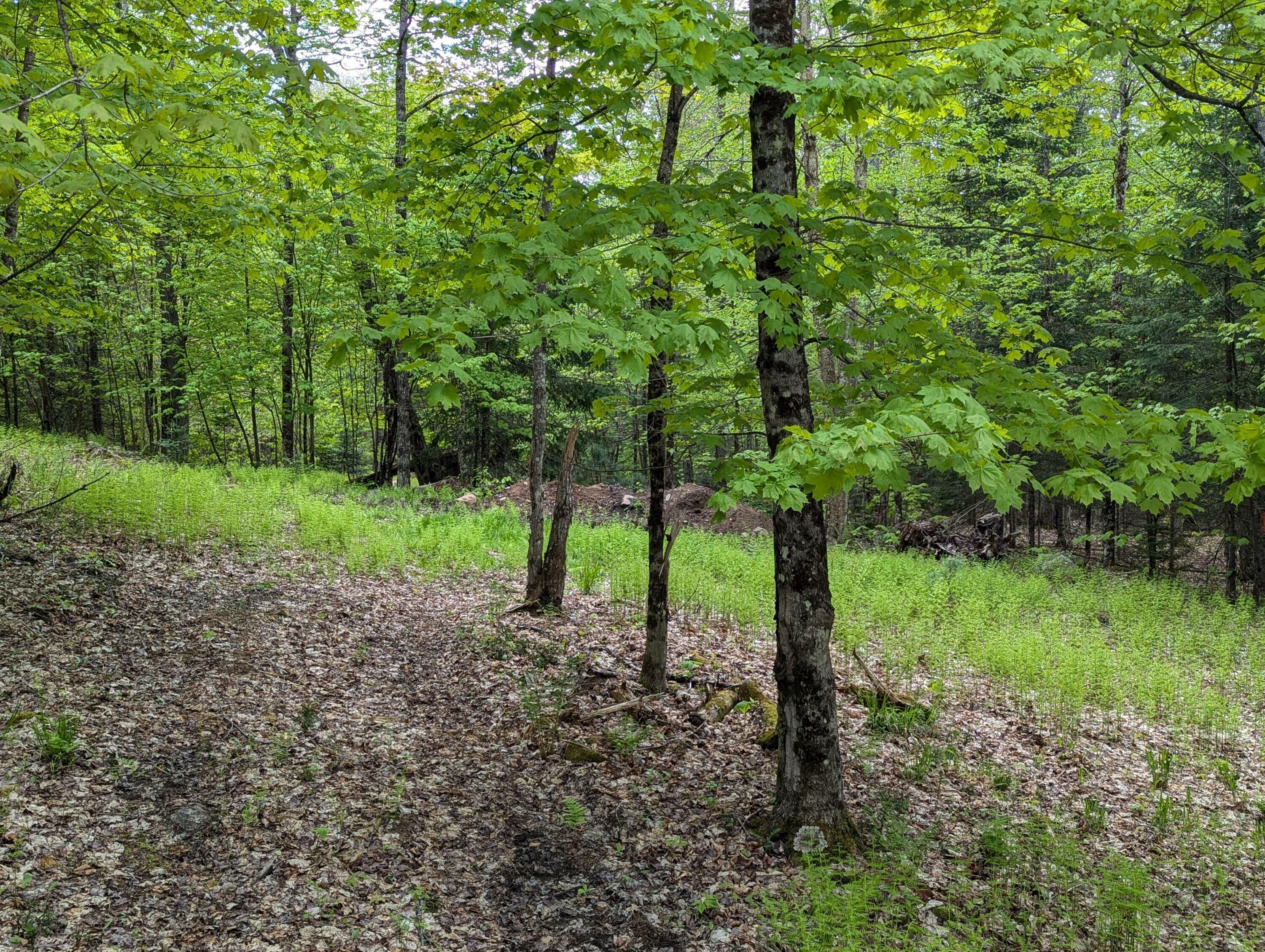 Property Photo: Lot #6 County Route 60 NY 12976