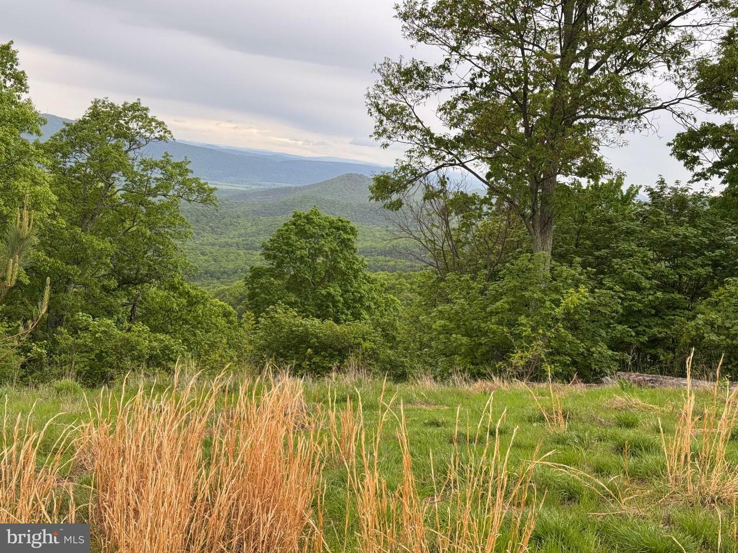 Lot 213 Hampshire Ridge  Romney WV 26757 photo
