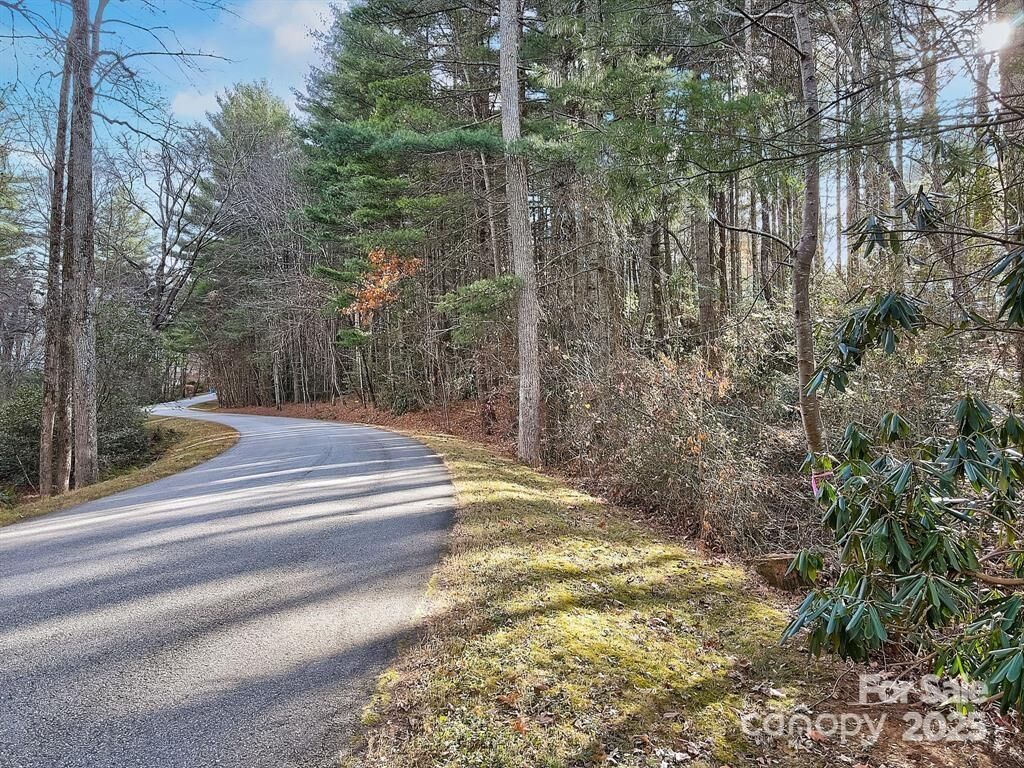 Property Photo:  000 Ravenwood Drive 6  NC 28732 
